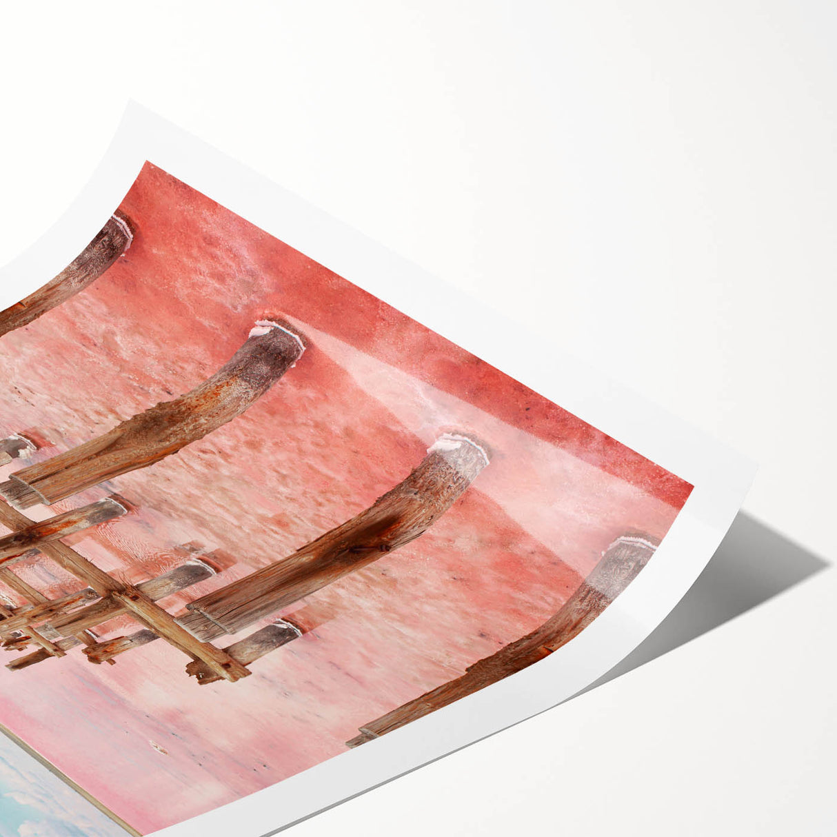 Extra large wall art featuring line art flowers in muted earth tones on a rolled canvas.