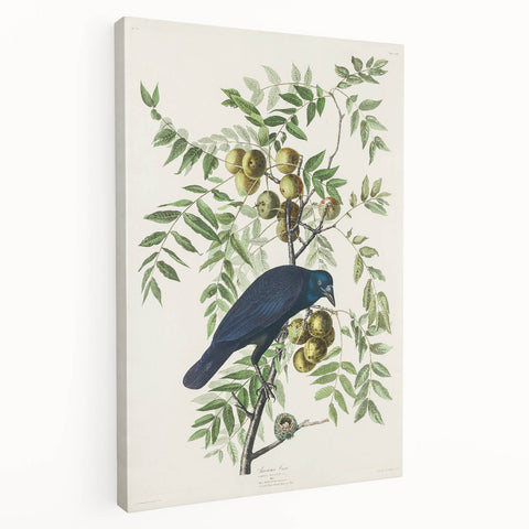 Romanticism Art: American Crow by Audubon - Nature-Inspired Print