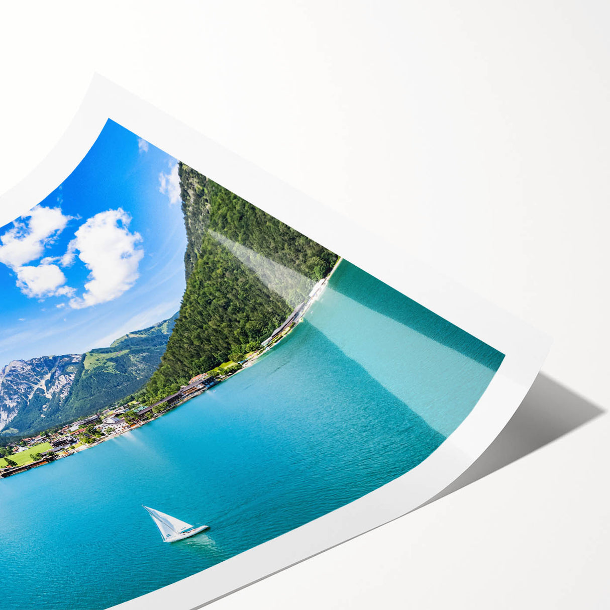 Extra large rolled print of line art flowers in monochrome, ideal for large living room wall art.