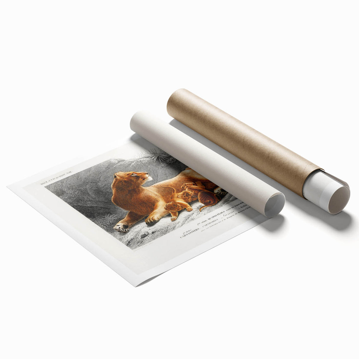 Romanticism Art: Lioness with Cubs by D’Orbigny - Wildlife Canvas