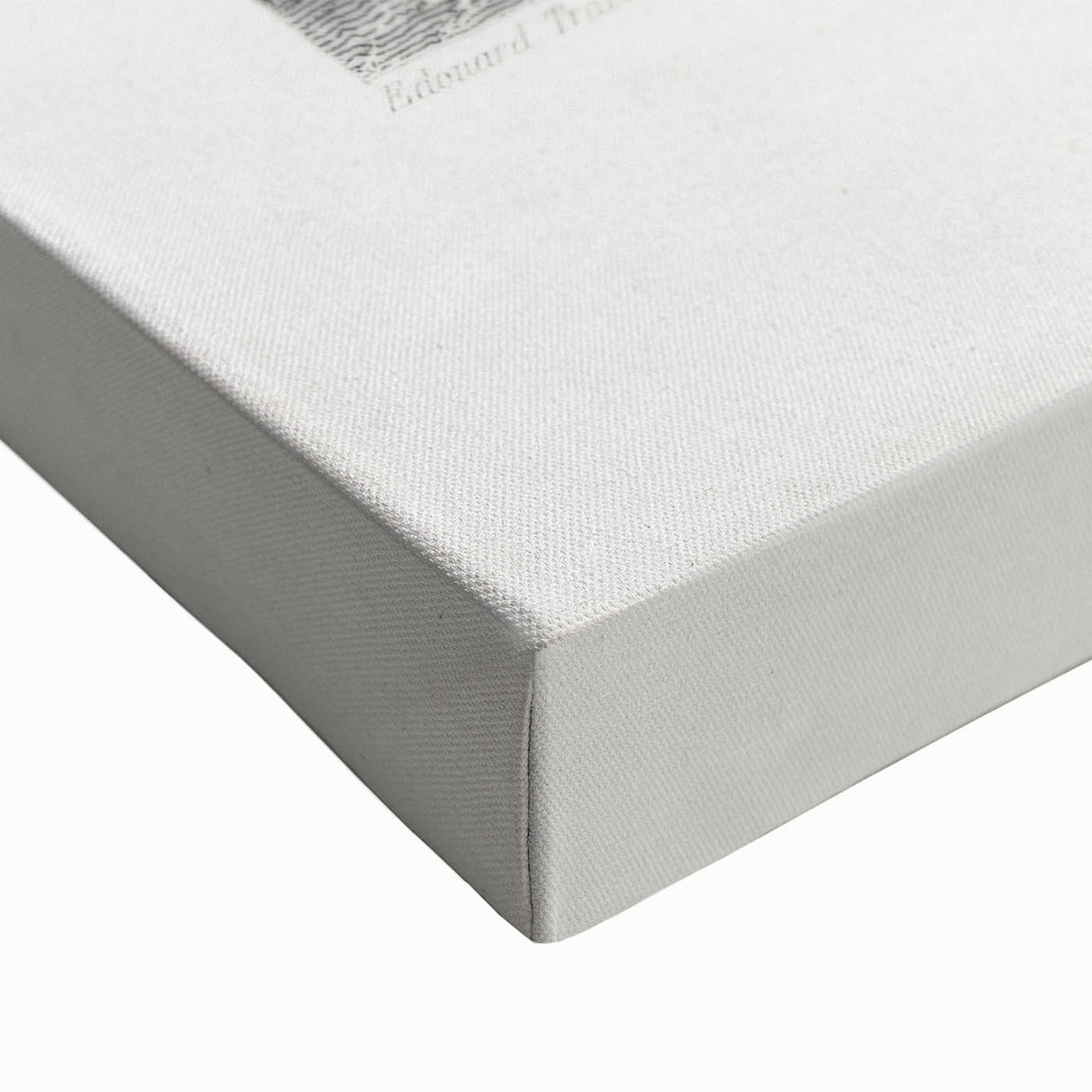 Romanticism Art: Lioness with Cubs by D’Orbigny - Wildlife Canvas