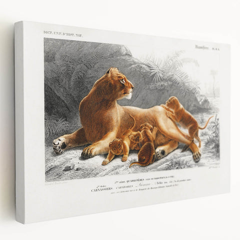 Romanticism Art: Lioness with Cubs by D’Orbigny - Wildlife Canvas