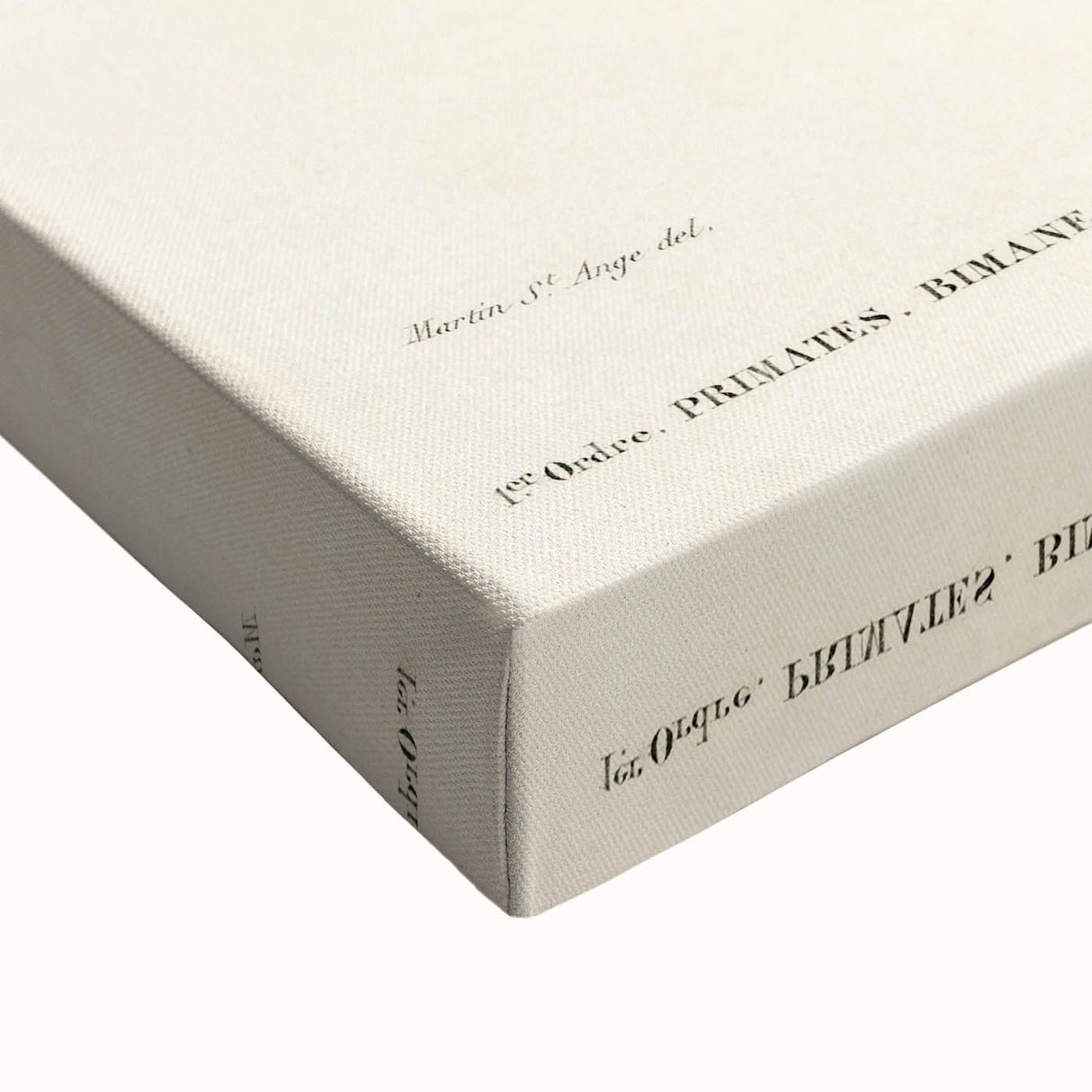 Romanticism Art: Human Anatomy by D’Orbigny - Scientific Canvas Print