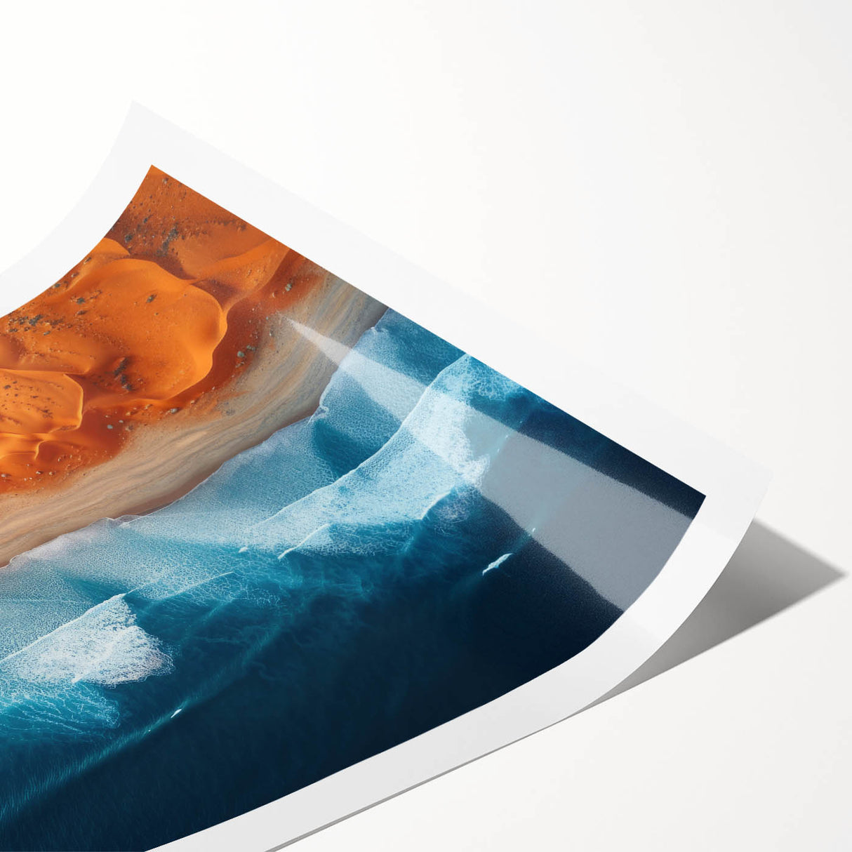 Extra large rolled canvas print displaying a line art design of abstract flowers in monochrome shades.