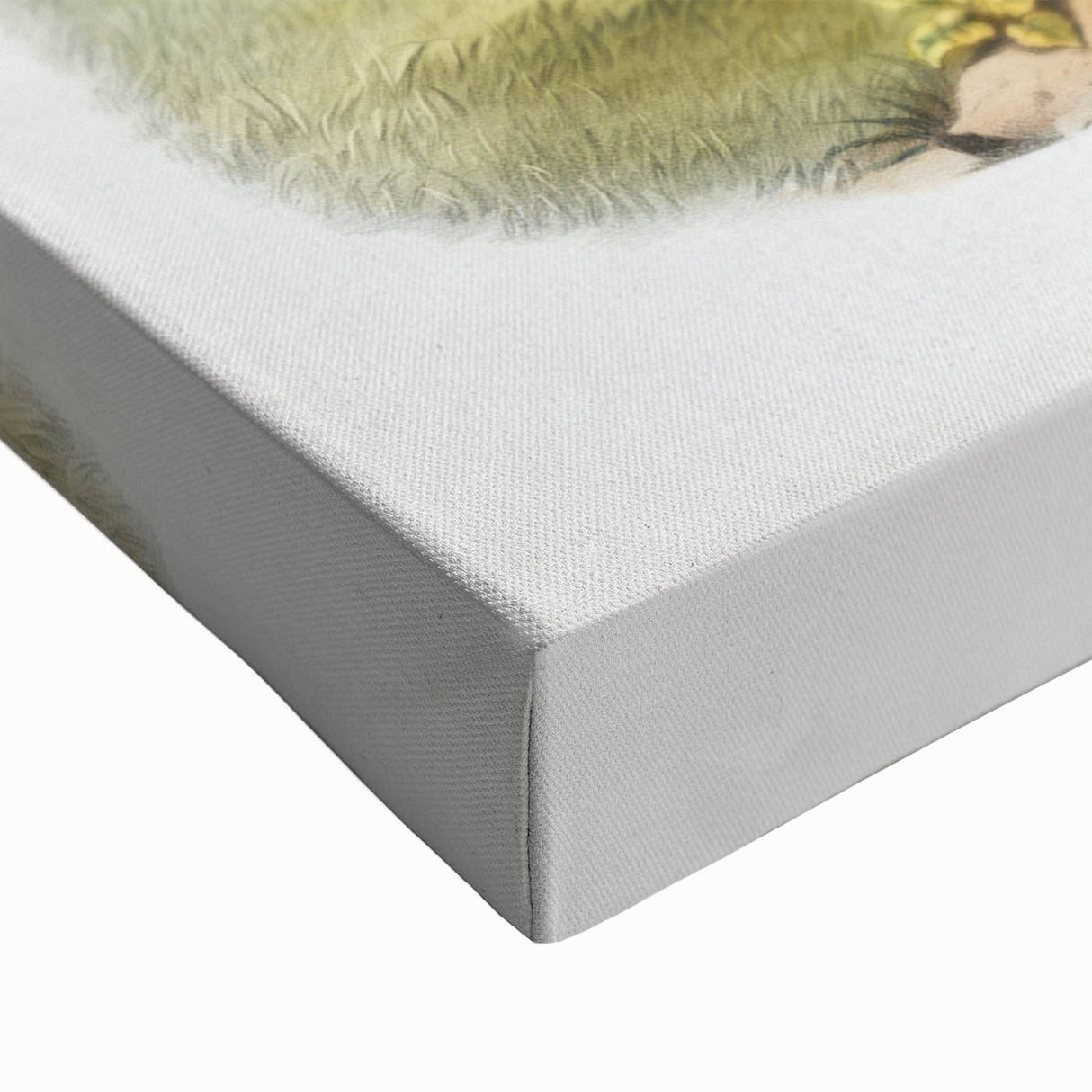 Romanticism Art: Classic Musk Ox Illustration on Historical Canvas