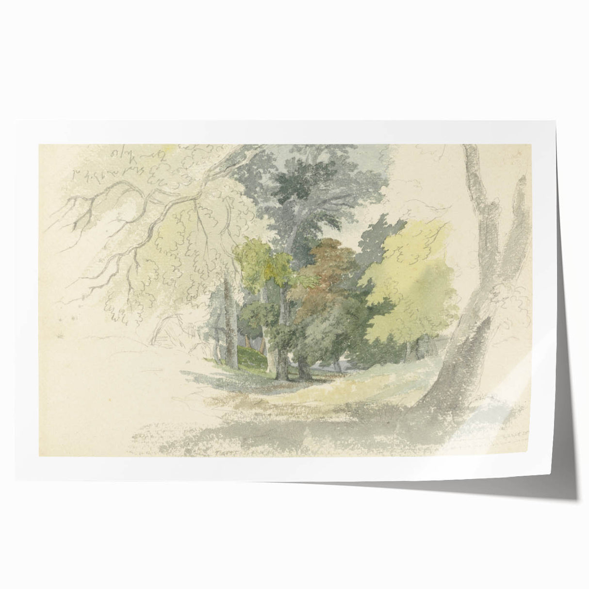 Classic Romantic Paintings: Peaceful Woodland Glade Illustration