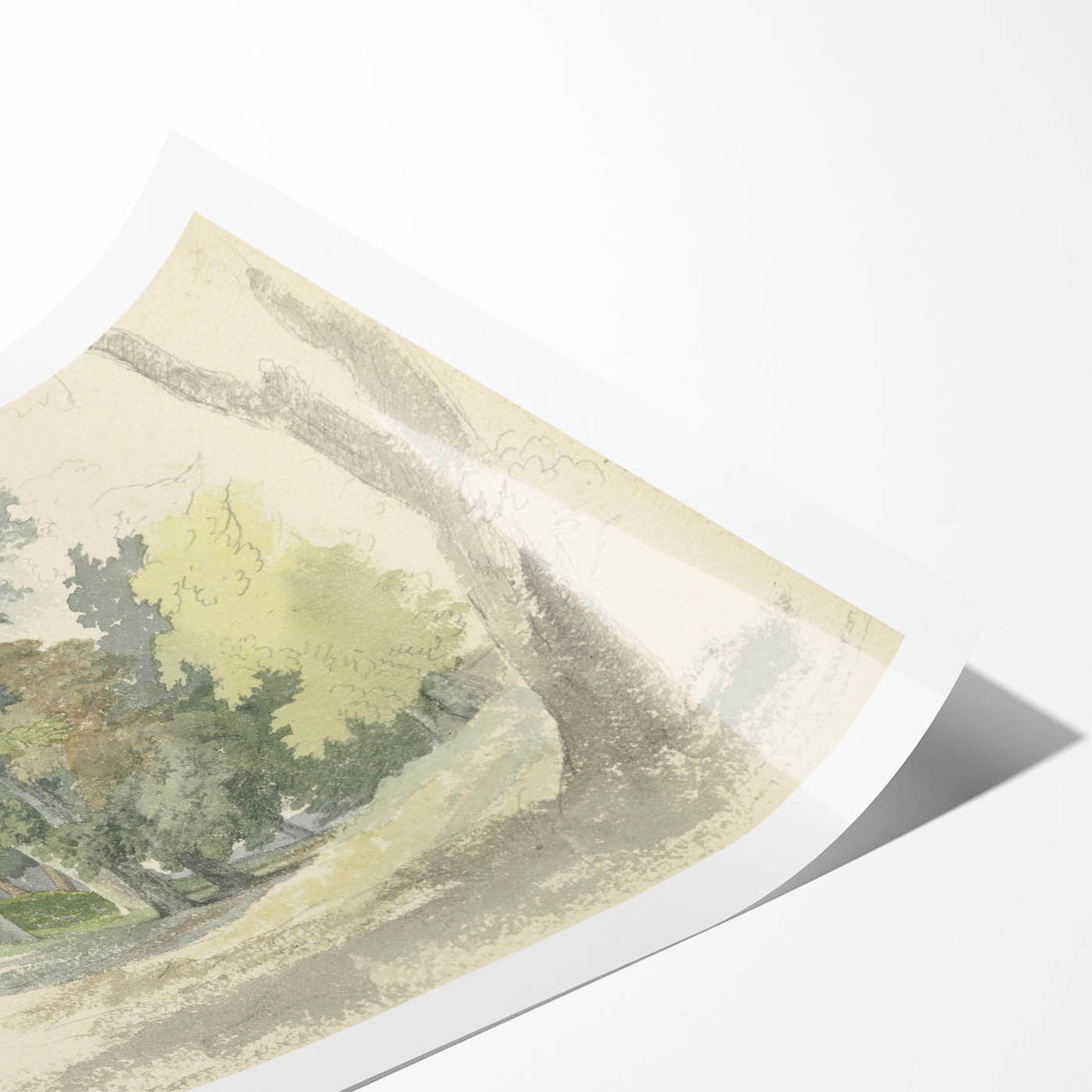 Classic Romantic Paintings: Peaceful Woodland Glade Illustration