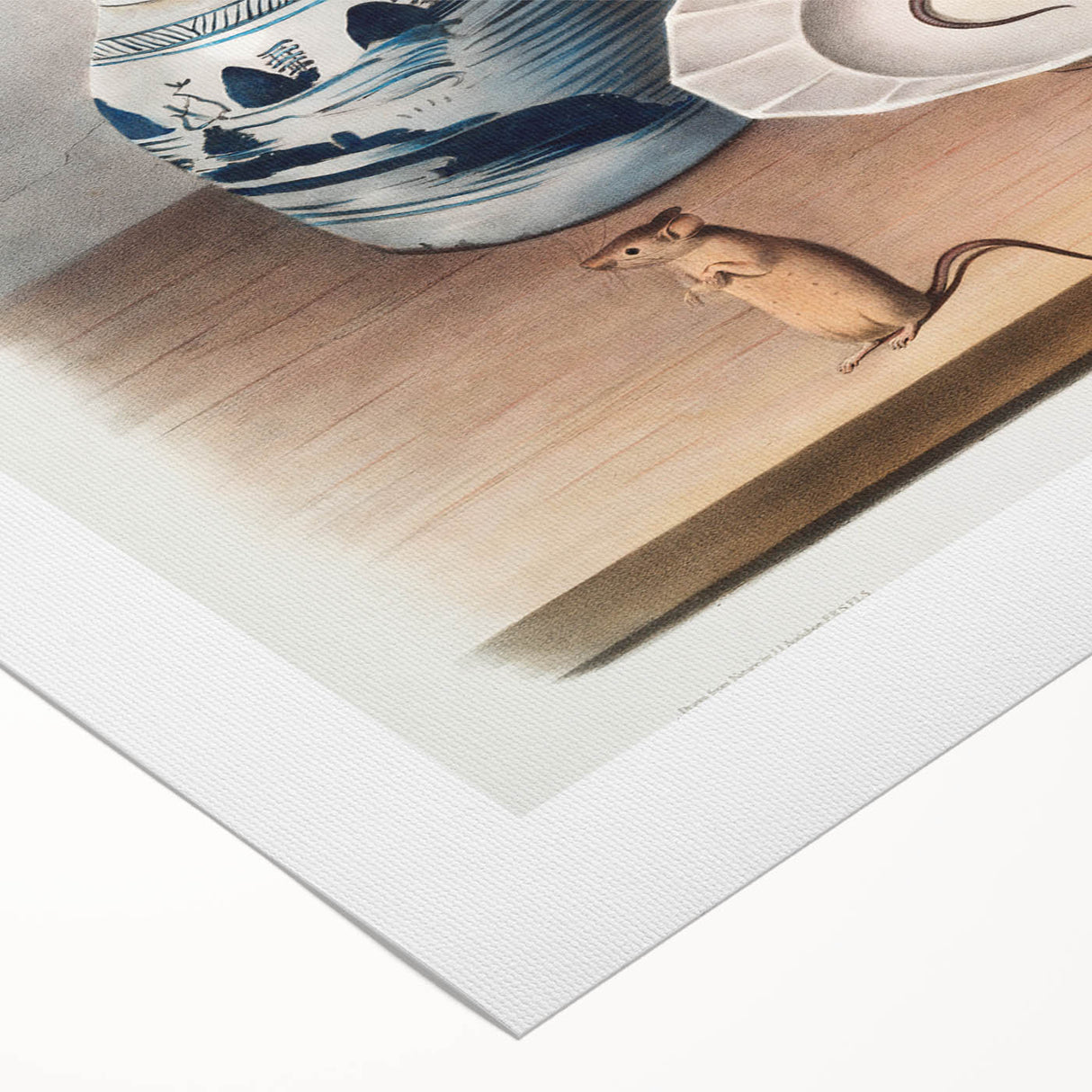 Romanticism Art: Mouse and Cheese Still Life by Audubon