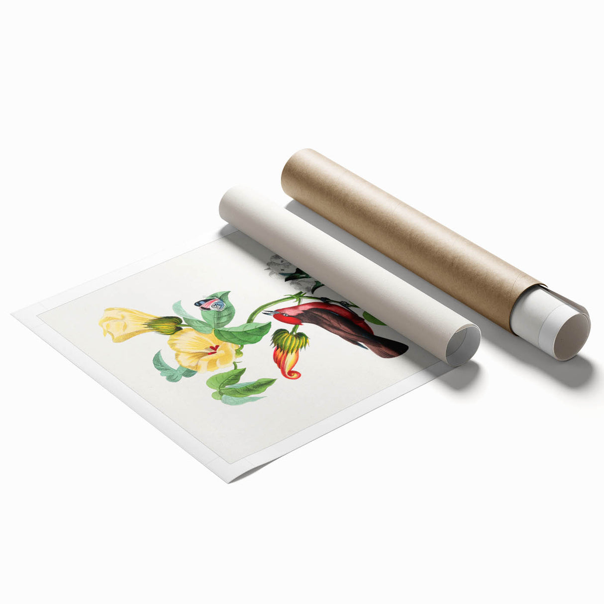 Romantic Art Prints: Vermilion Flycatcher and Botanical Study