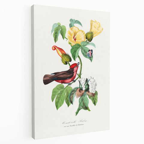 Romantic Art Prints: Vermilion Flycatcher and Botanical Study