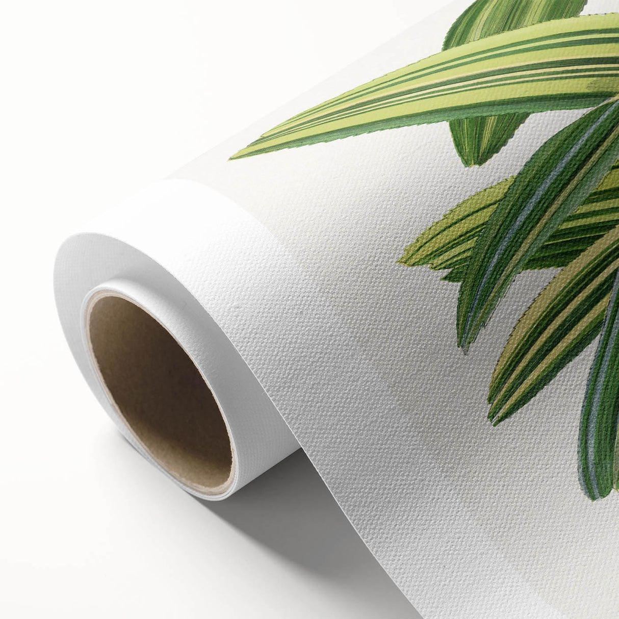 Romantic Art Prints: Broadleaf Lady Palm Botanical Illustration