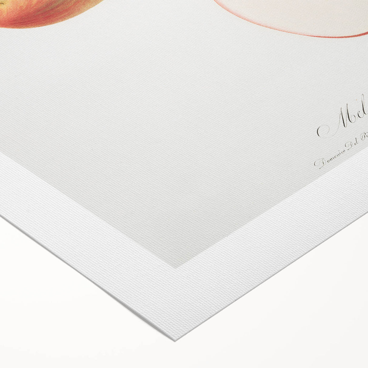 Romantic Art Prints: Apple Illustration from Pomona Italiana