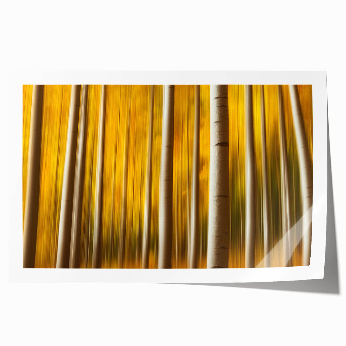 Golden Aspen Forest – Dynamic Abstract Autumn Motion Wall Art