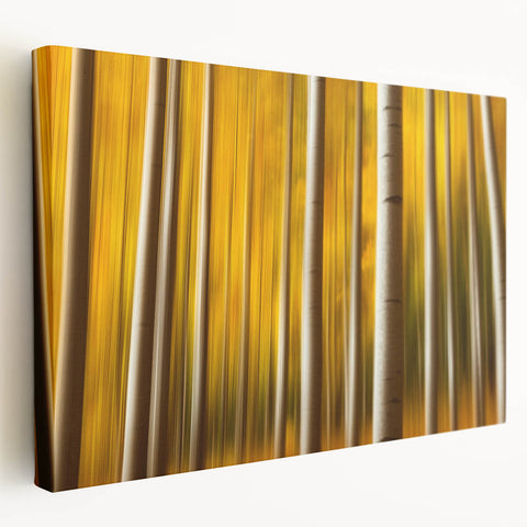 Golden Aspen Forest – Dynamic Abstract Autumn Motion Wall Art