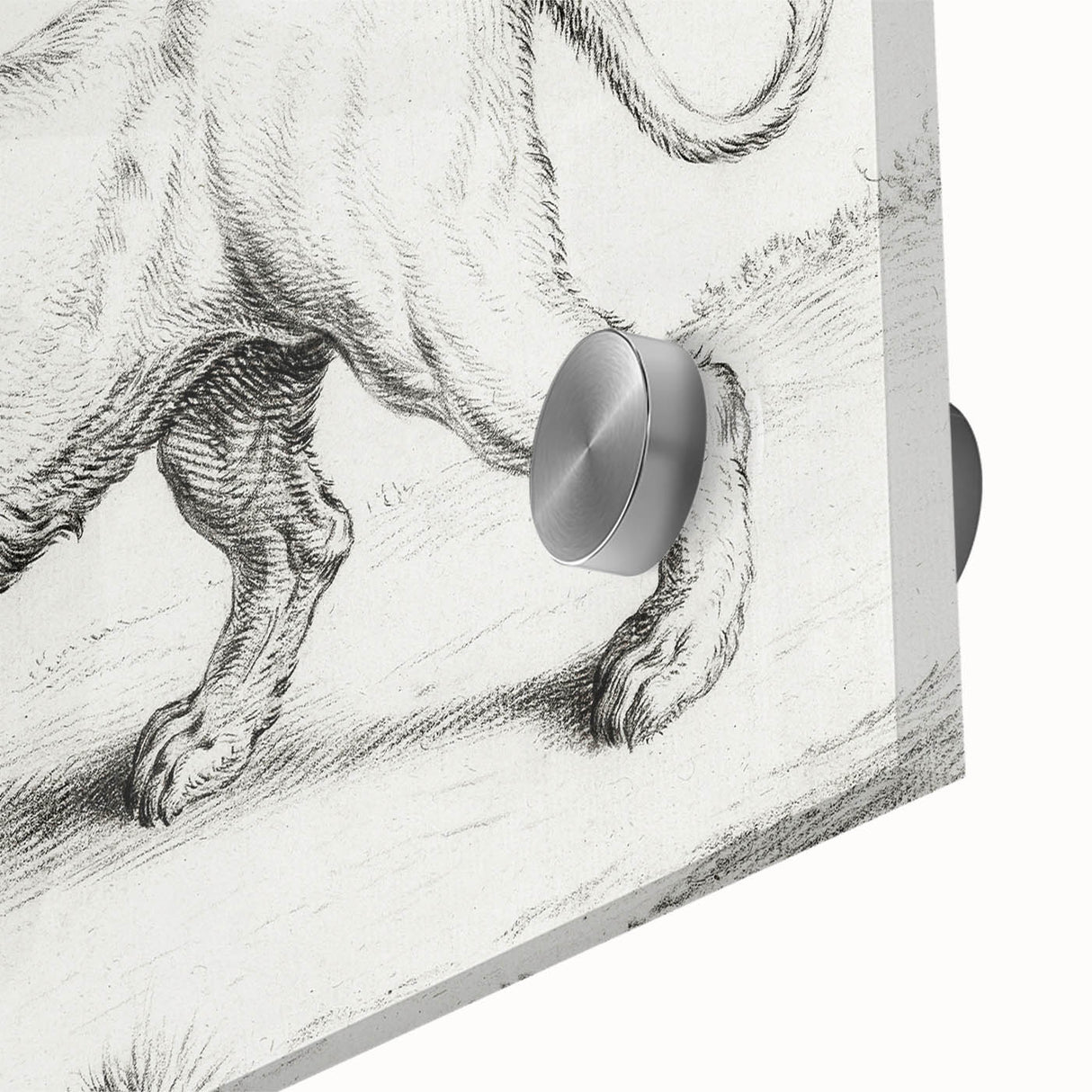 Lion Sketch by Jean Bernard - Romanticism Black and White Wall Art