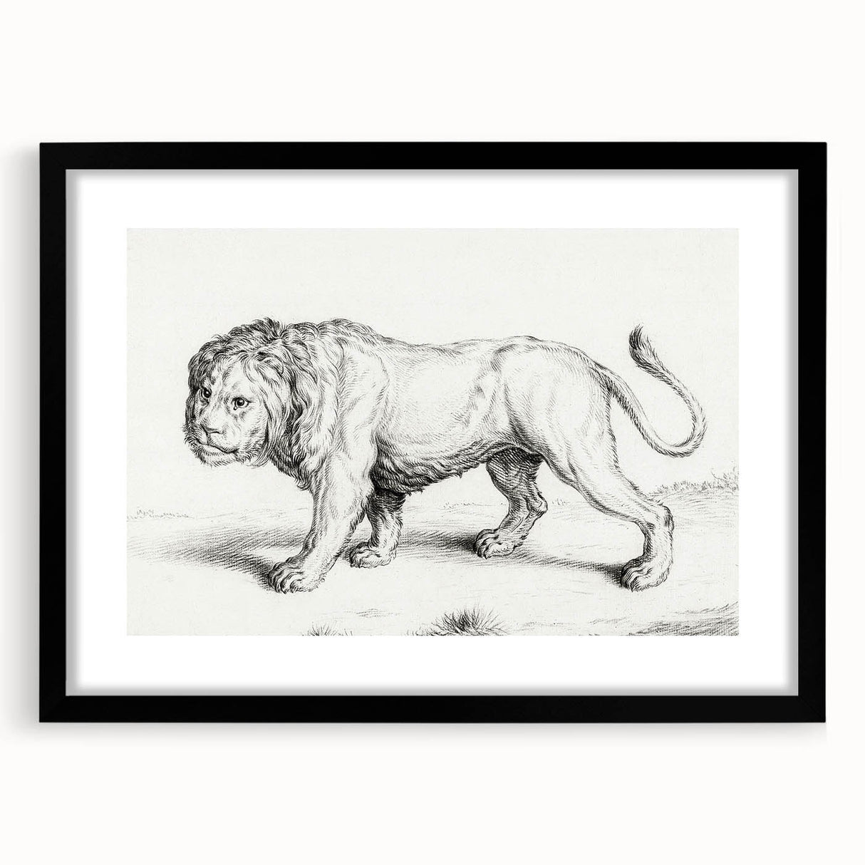 Lion Sketch by Jean Bernard - Romanticism Black and White Wall Art