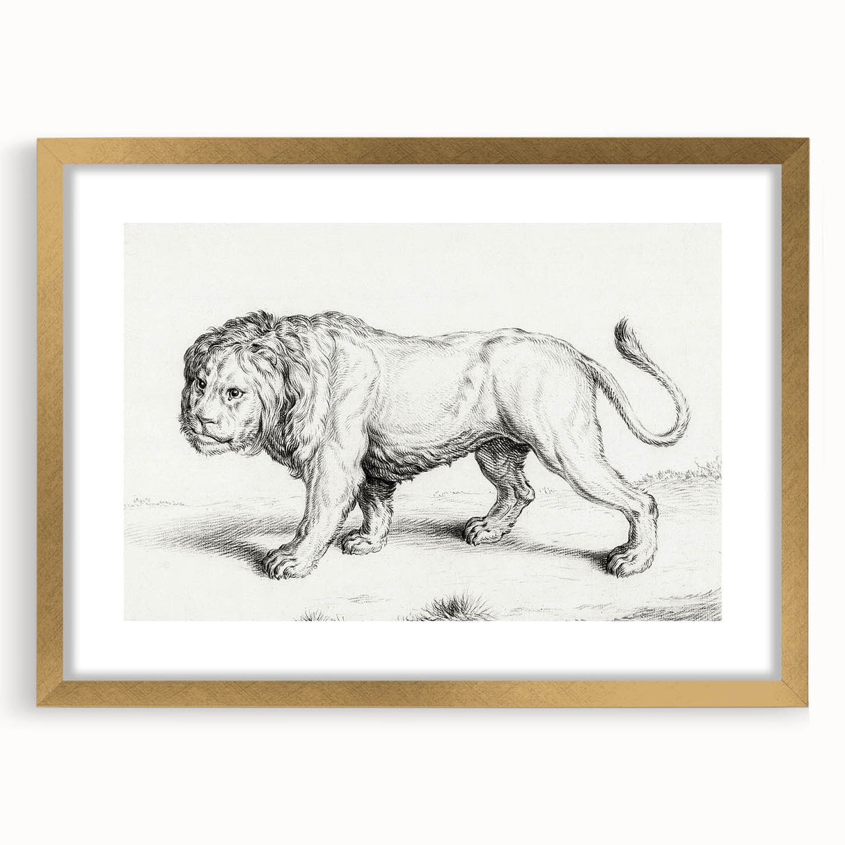 Lion Sketch by Jean Bernard - Romanticism Black and White Wall Art