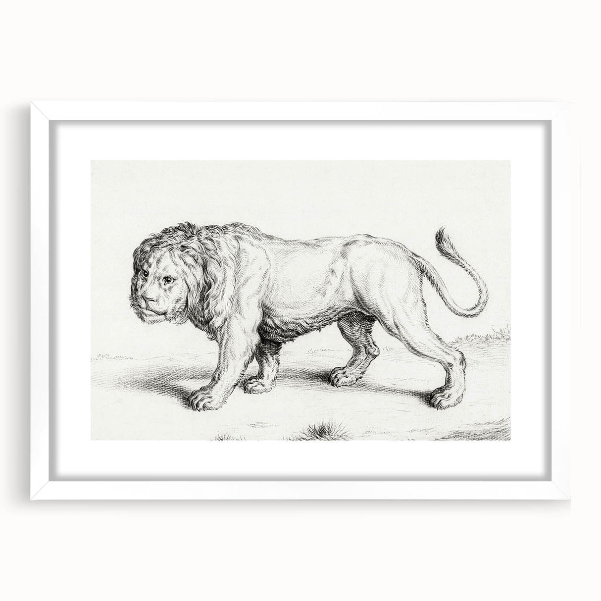 Lion Sketch by Jean Bernard - Romanticism Black and White Wall Art