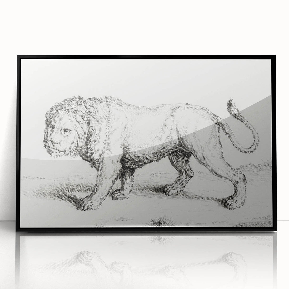 Lion Sketch by Jean Bernard - Romanticism Black and White Wall Art