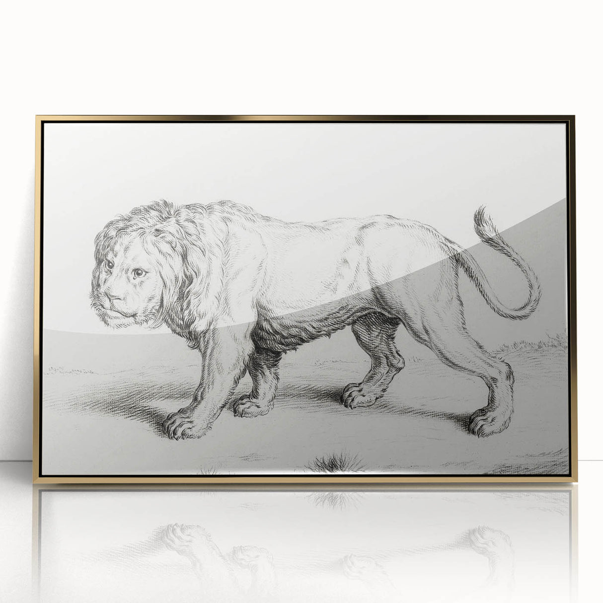 Lion Sketch by Jean Bernard - Romanticism Black and White Wall Art