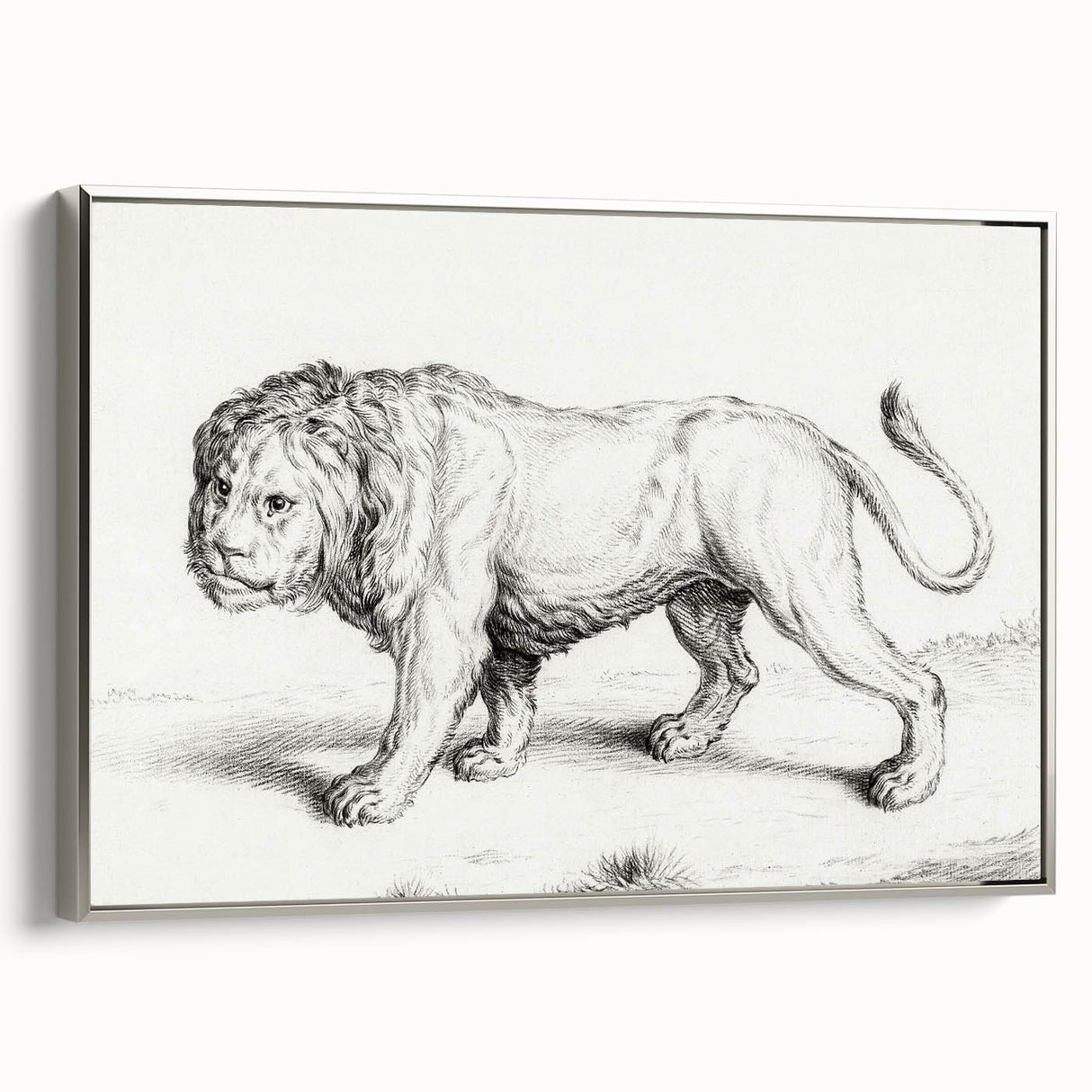 Lion Sketch by Jean Bernard - Romanticism Black and White Wall Art