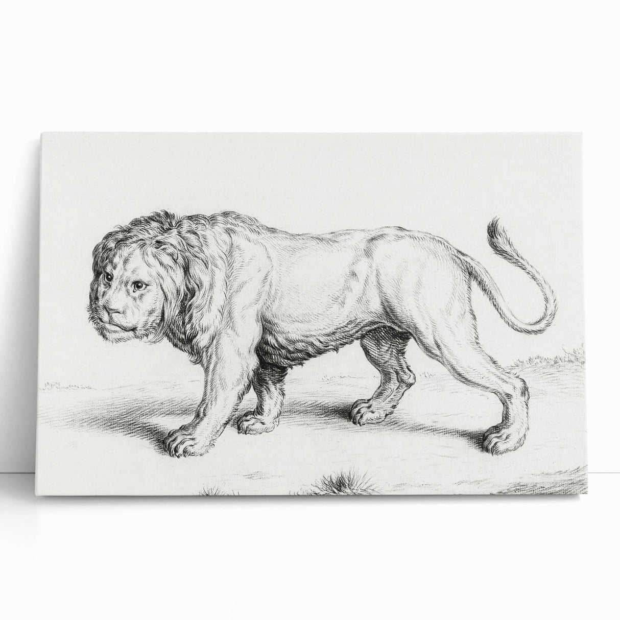 Lion Sketch by Jean Bernard - Romanticism Black and White Wall Art