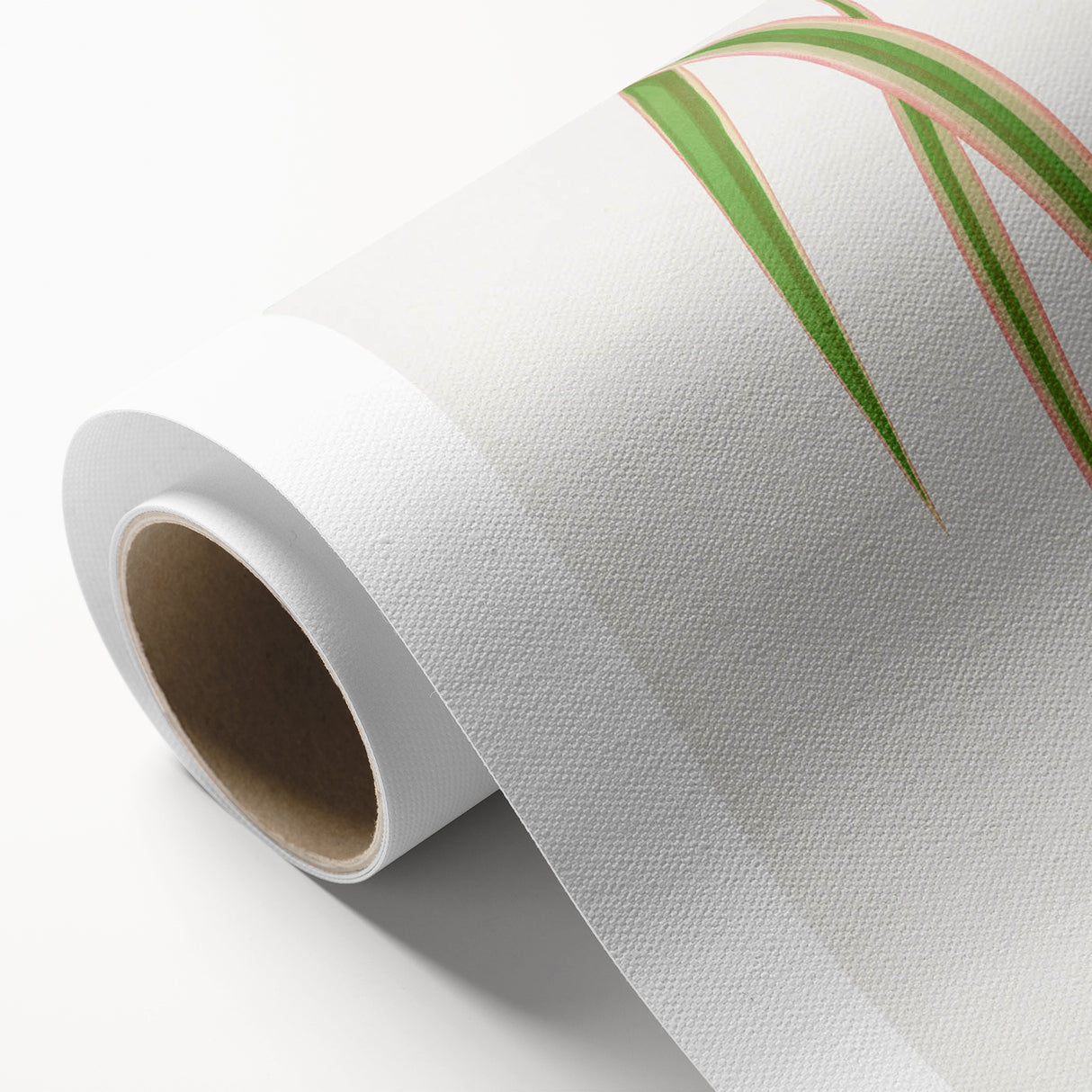 Yucca Aloefolia Leaf - Romantic Botanical Canvas Wall Art