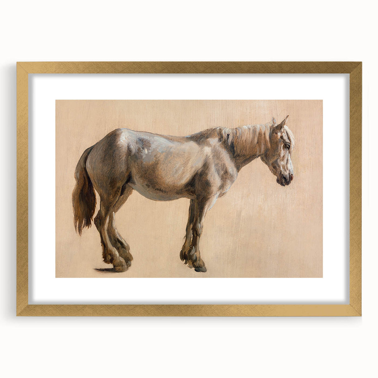 Study of a Grey Horse - Romanticism Art by Jacques-Laurent Agasse