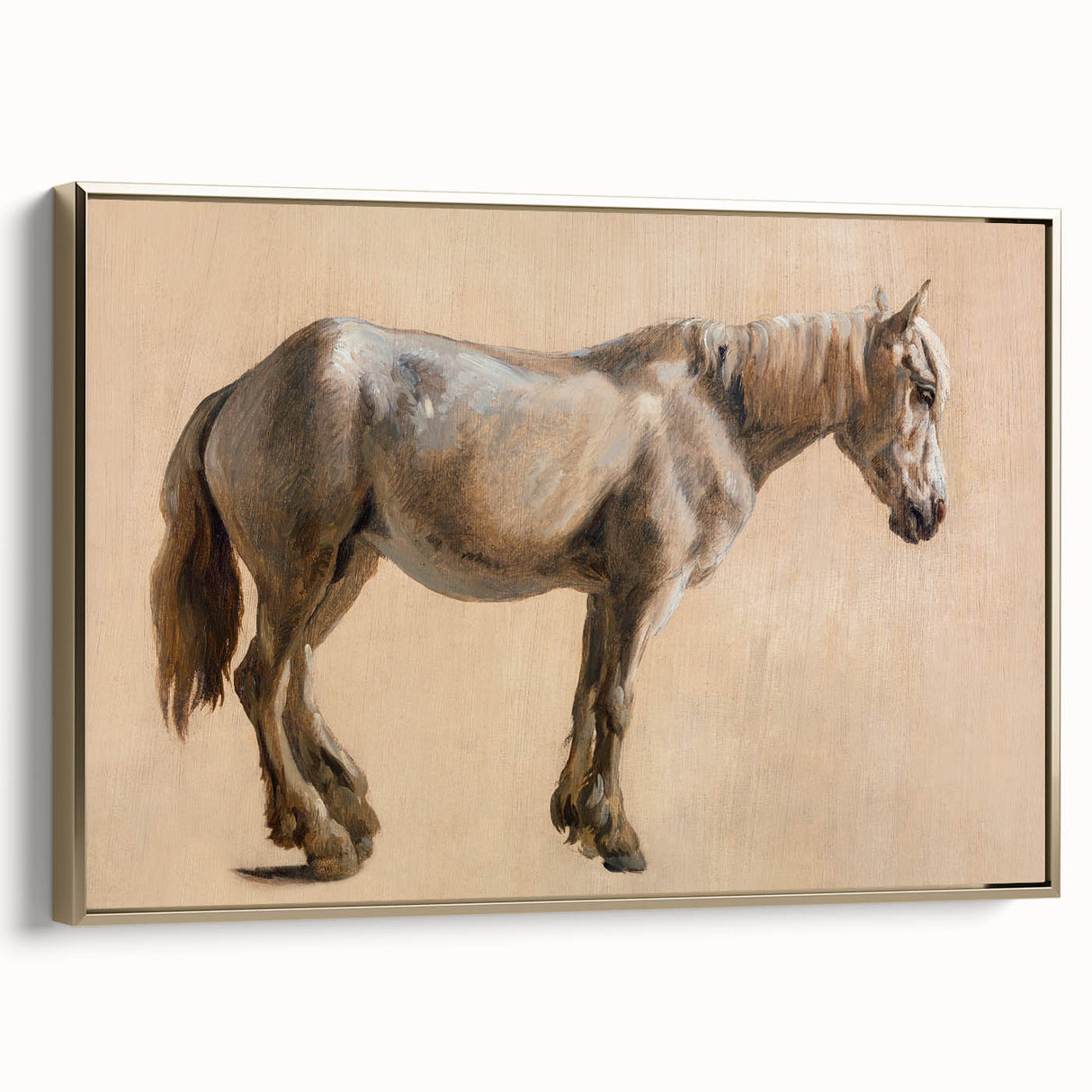 Study of a Grey Horse - Romanticism Art by Jacques-Laurent Agasse