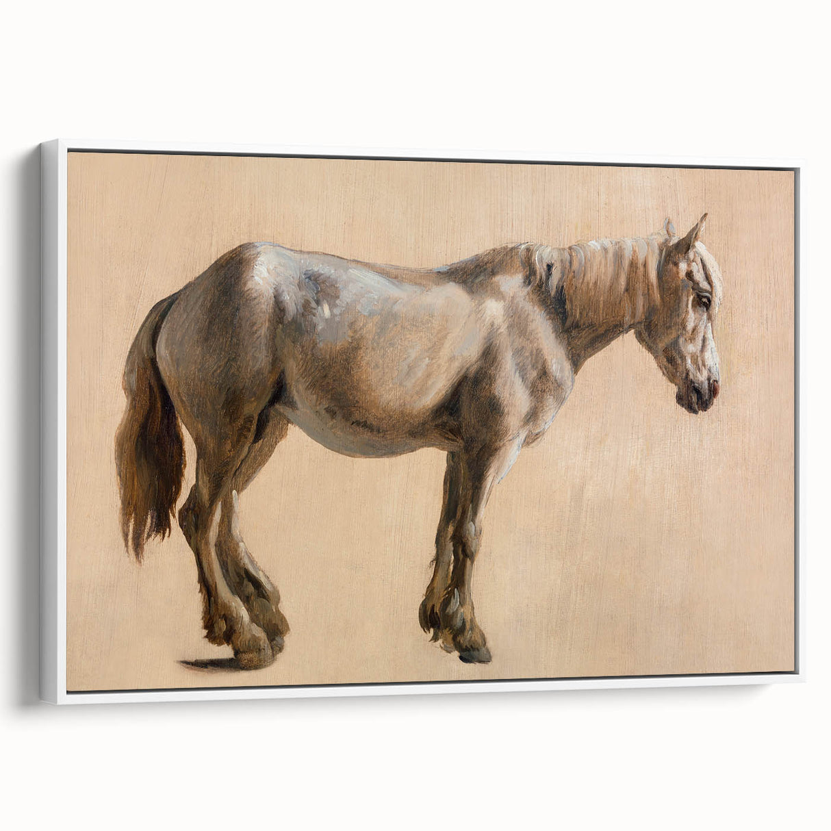 Study of a Grey Horse - Romanticism Art by Jacques-Laurent Agasse