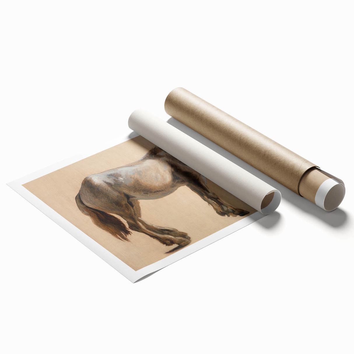 Study of a Grey Horse - Romanticism Art by Jacques-Laurent Agasse