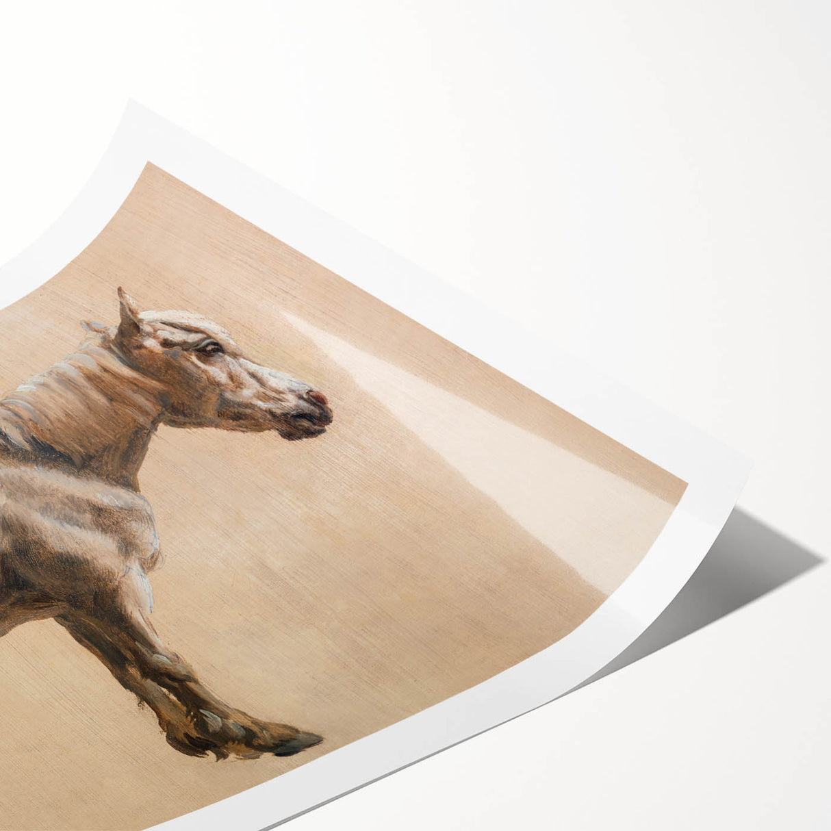 Study of a Grey Horse - Romanticism Art by Jacques-Laurent Agasse