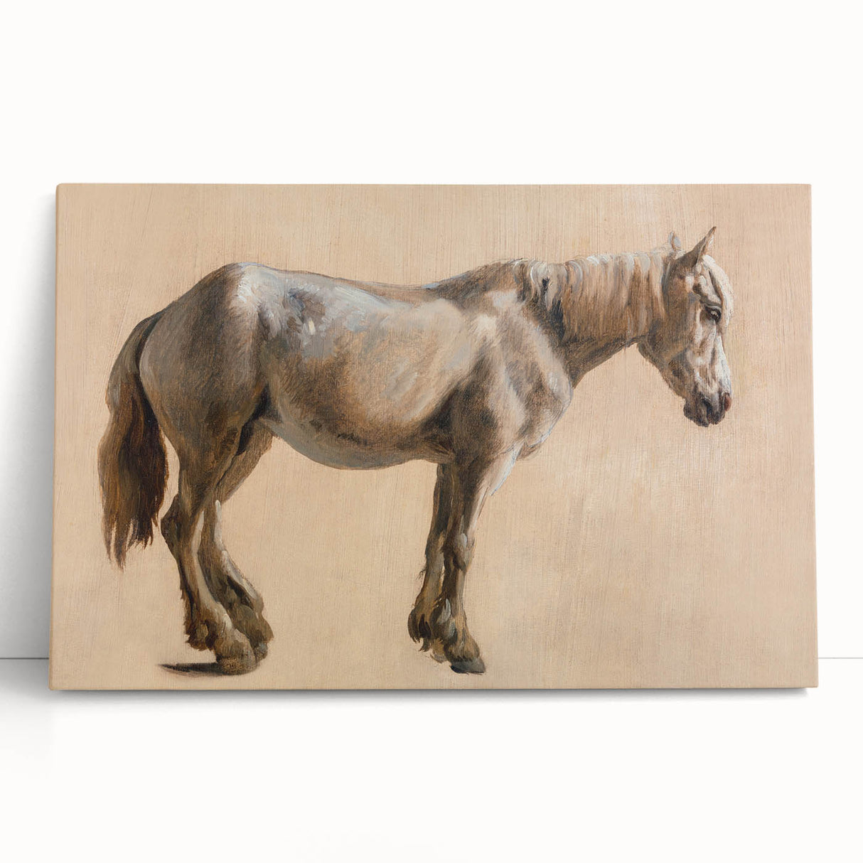 Study of a Grey Horse - Romanticism Art by Jacques-Laurent Agasse