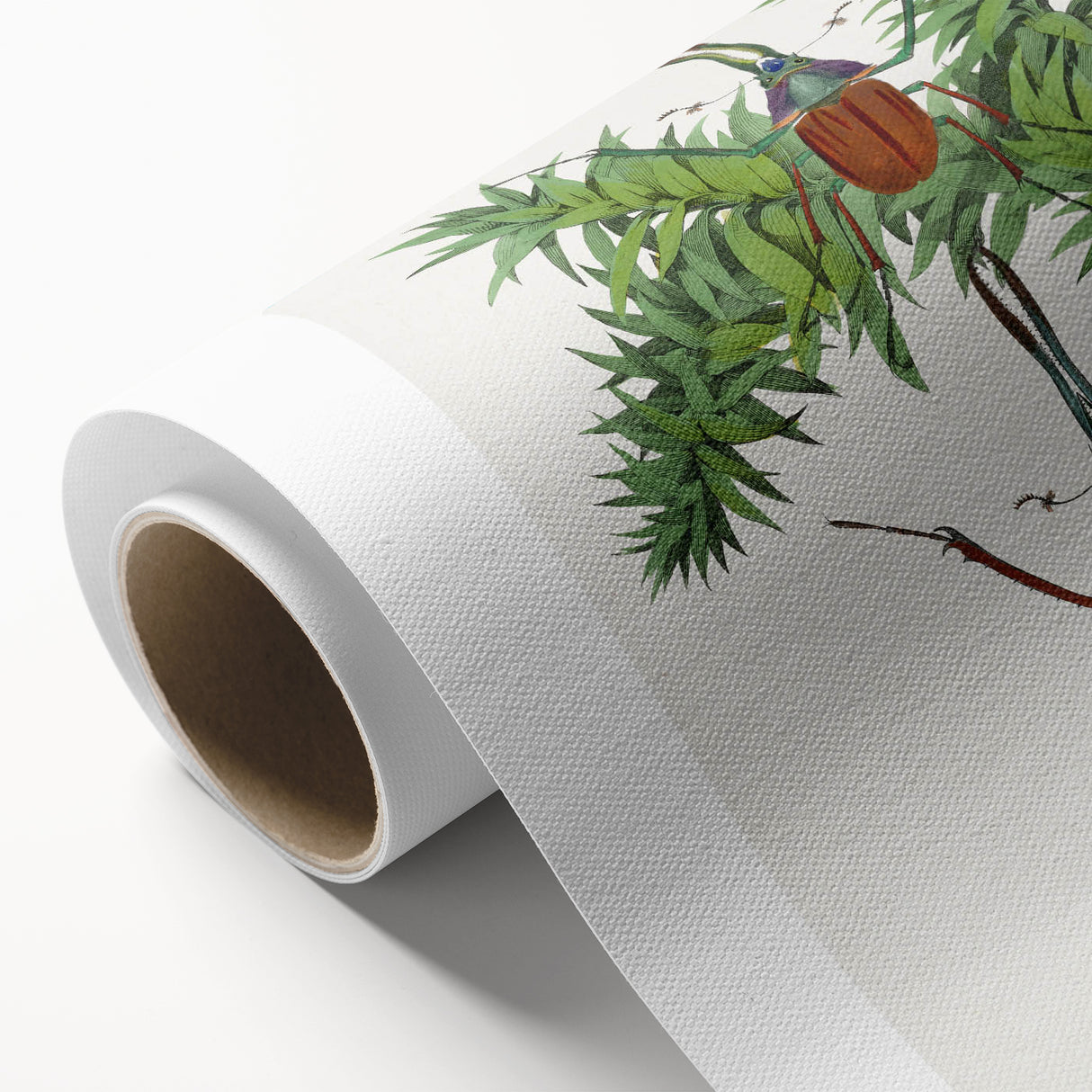 Romanticism Art: "Stag Beetle" Wildlife Botanical Canvas Print