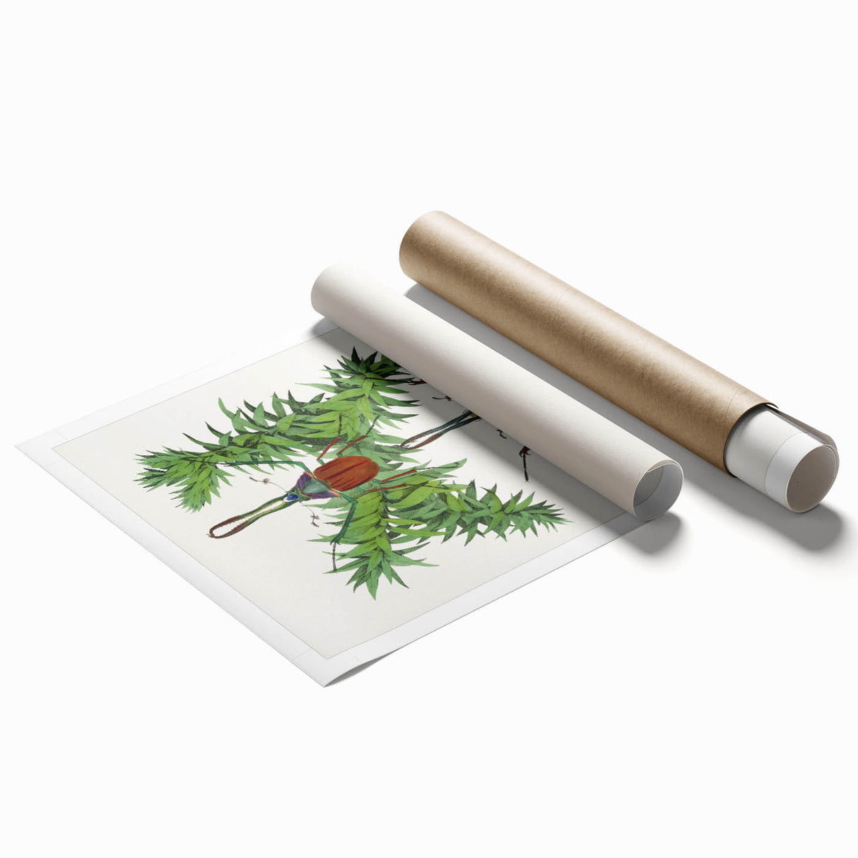 Romanticism Art: "Stag Beetle" Wildlife Botanical Canvas Print