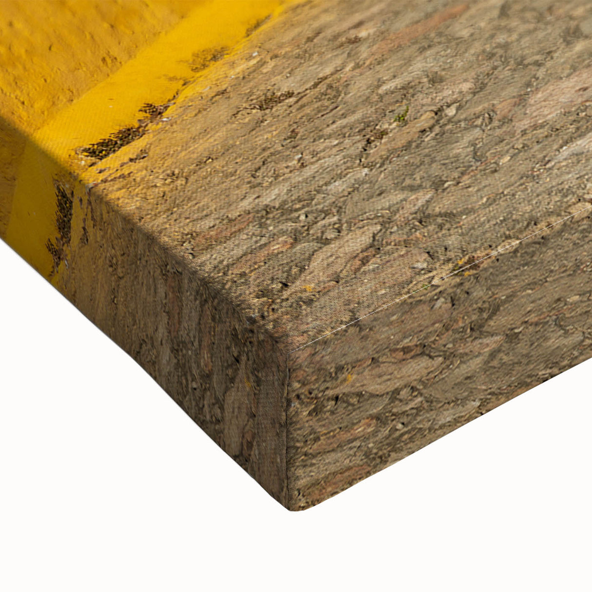 Black and white landscape art painting of Yucatan scenery on large stretched canvas, ideal for bedroom wall decor.