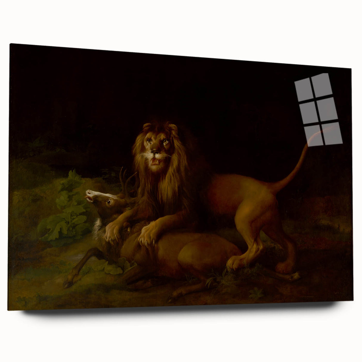 Romanticism Art: "A Lion Attacking a Stag" Wildlife Canvas Print