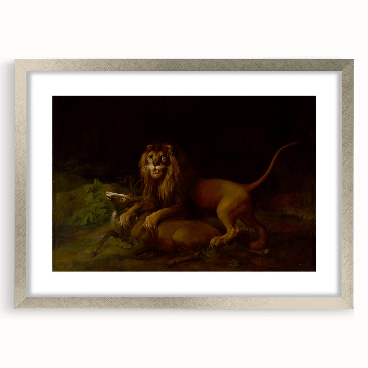 Romanticism Art: "A Lion Attacking a Stag" Wildlife Canvas Print