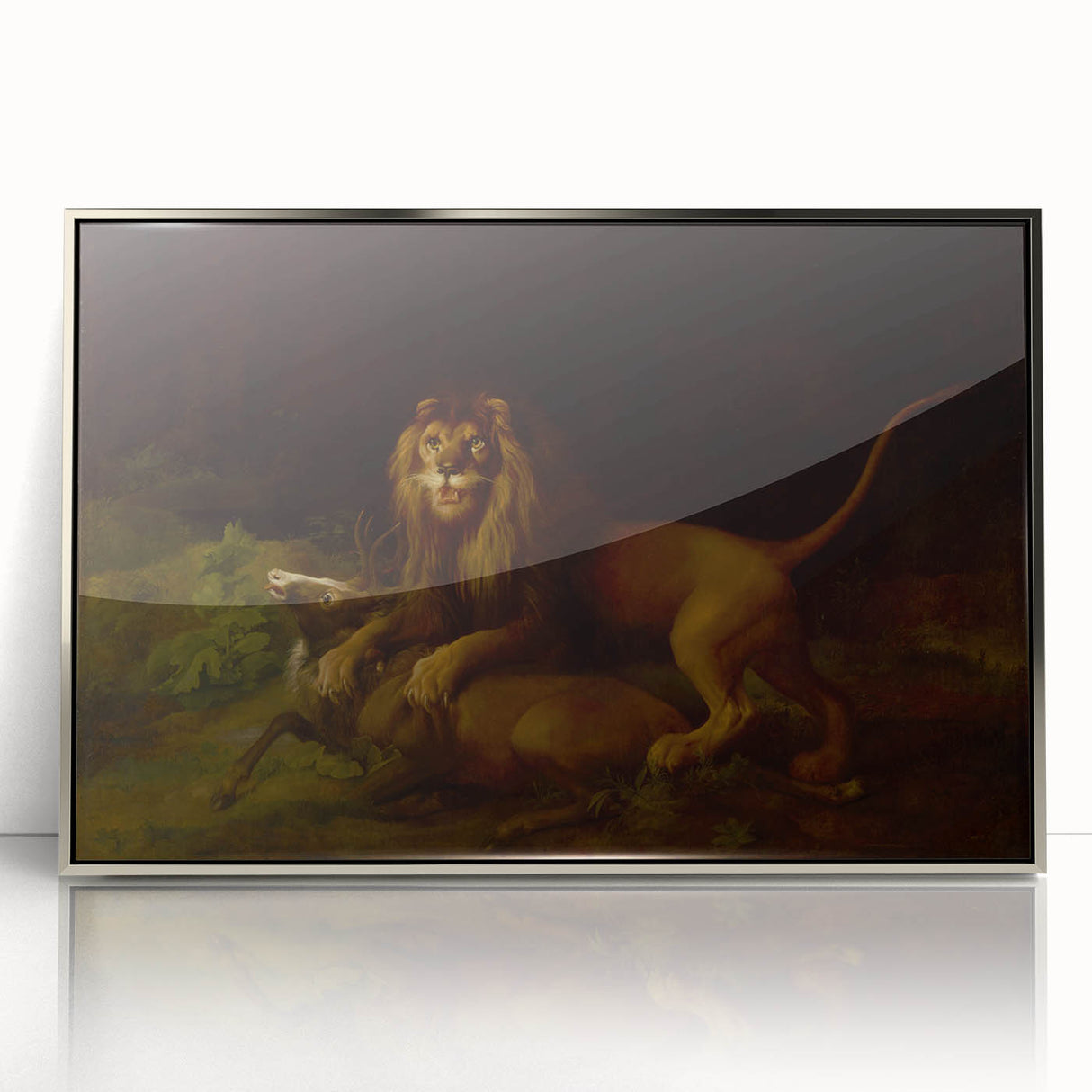 Romanticism Art: "A Lion Attacking a Stag" Wildlife Canvas Print
