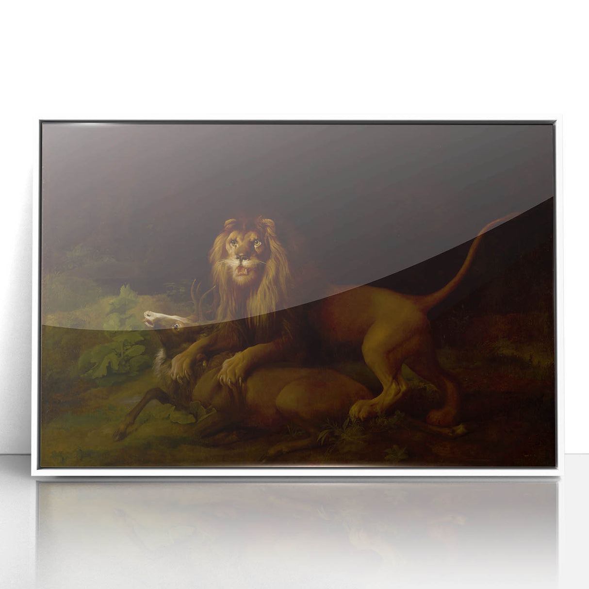 Romanticism Art: "A Lion Attacking a Stag" Wildlife Canvas Print