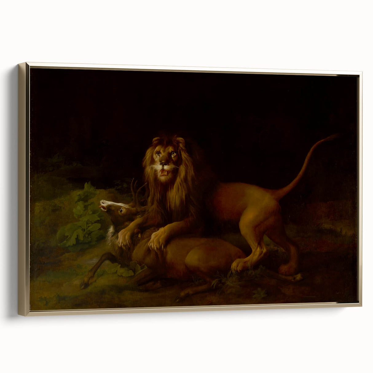 Romanticism Art: "A Lion Attacking a Stag" Wildlife Canvas Print