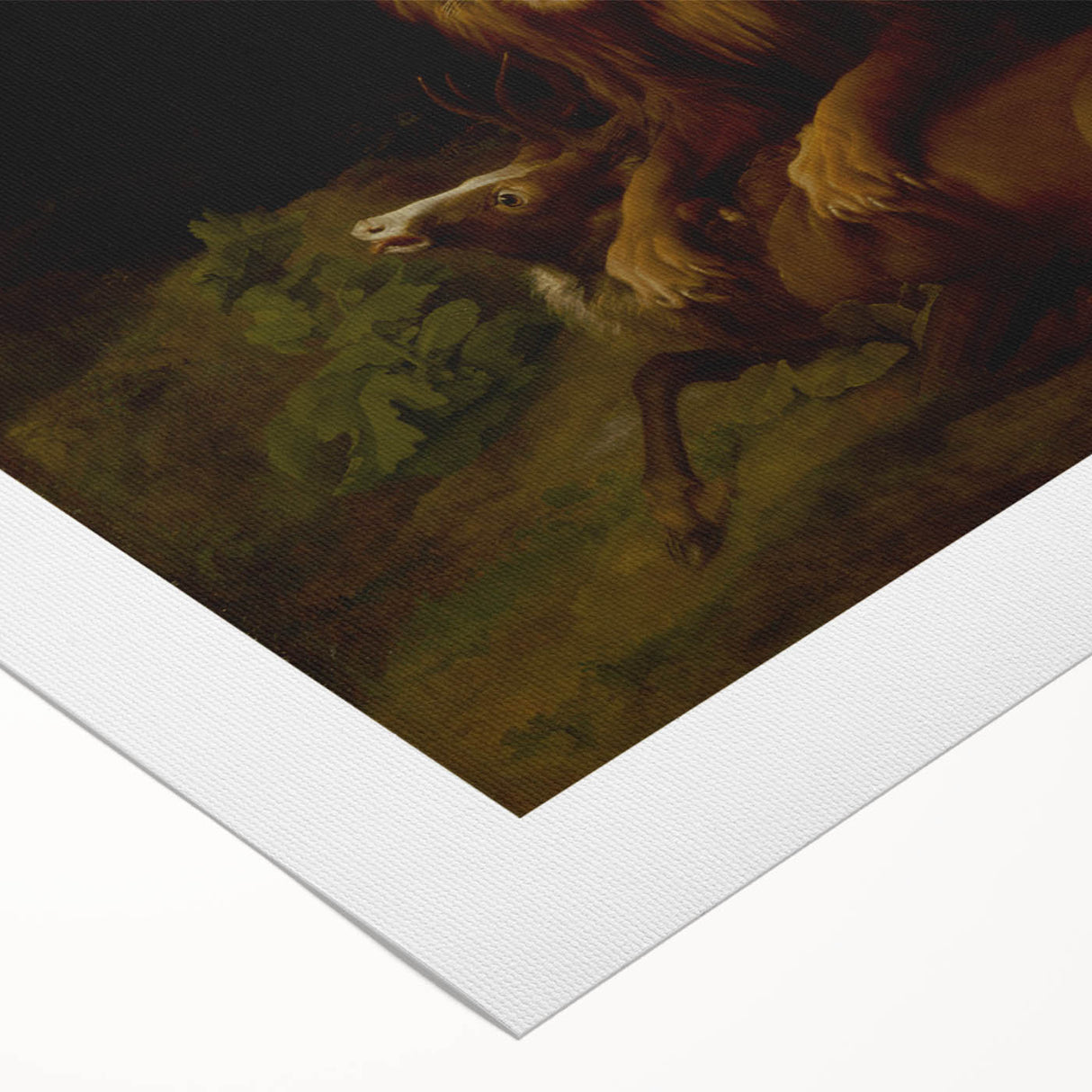 Romanticism Art: "A Lion Attacking a Stag" Wildlife Canvas Print