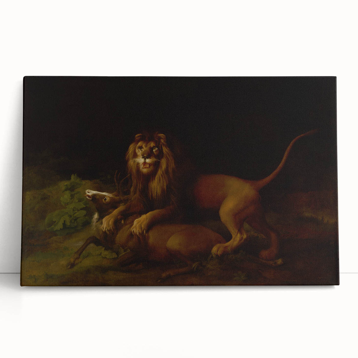 Romanticism Art: "A Lion Attacking a Stag" Wildlife Canvas Print