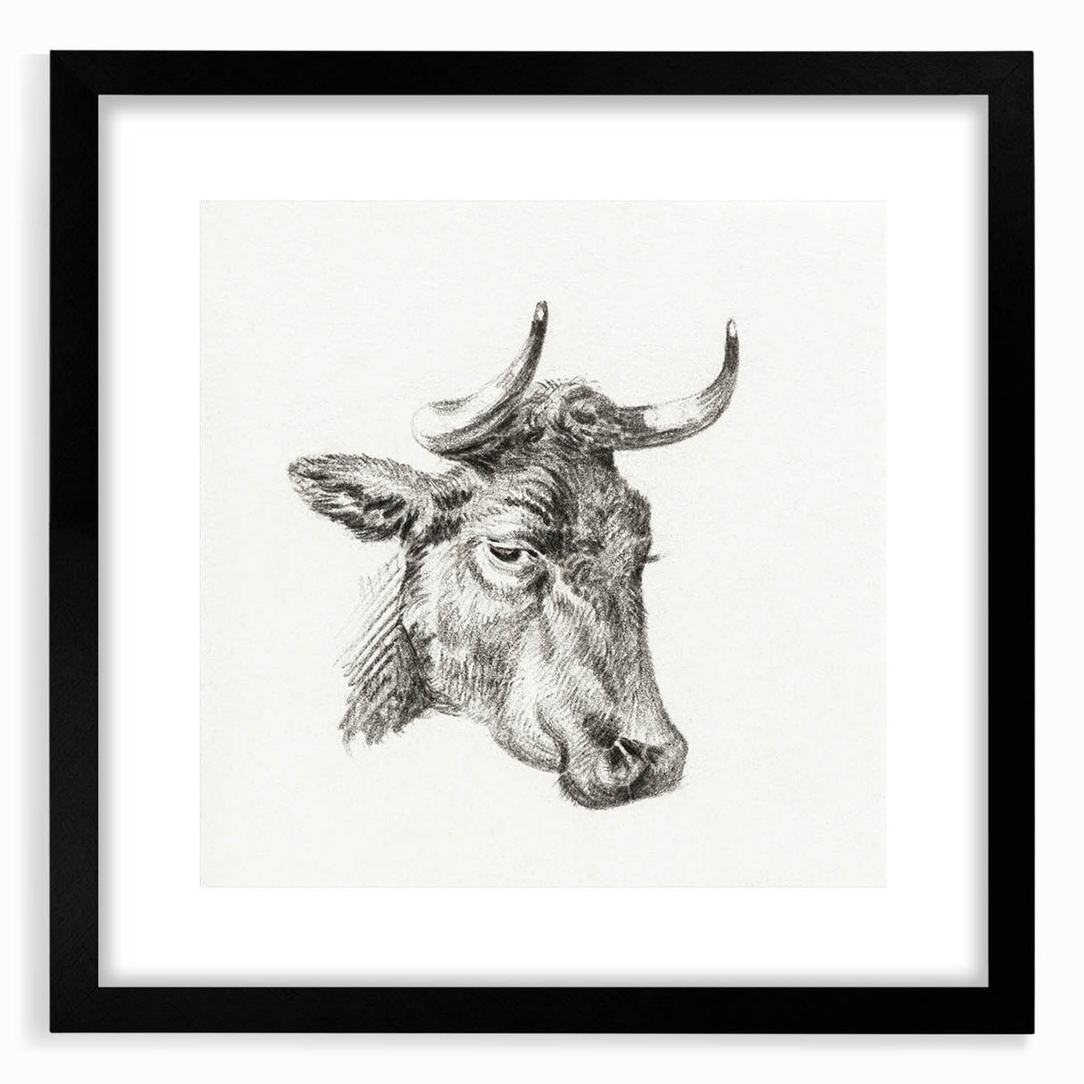 Romanticism Art Print: Head of a Cow - Timeless Sketch by Jean Bernard
