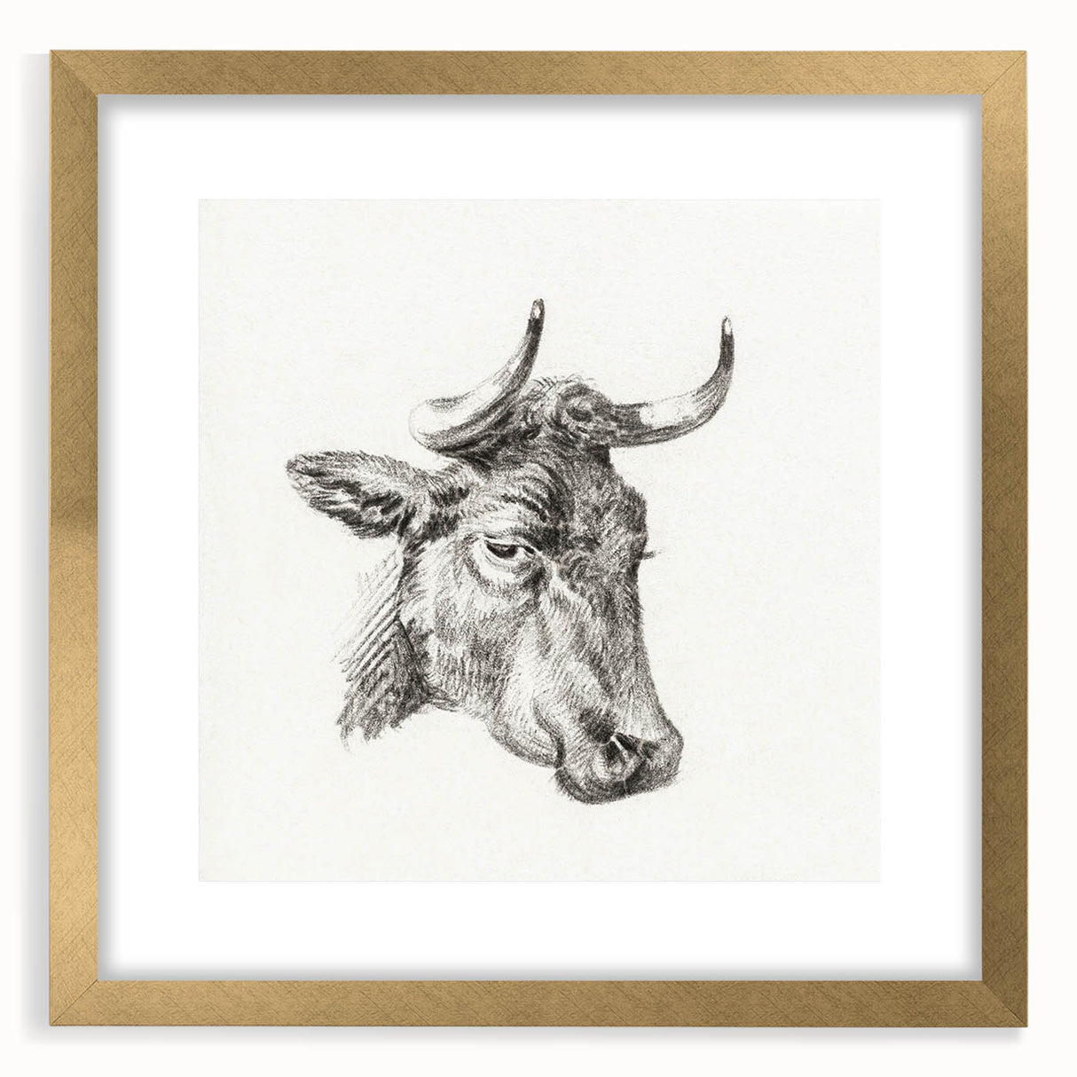 Romanticism Art Print: Head of a Cow - Timeless Sketch by Jean Bernard