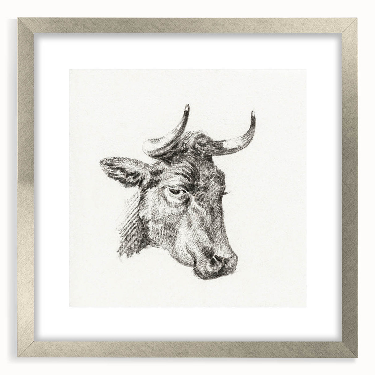 Romanticism Art Print: Head of a Cow - Timeless Sketch by Jean Bernard