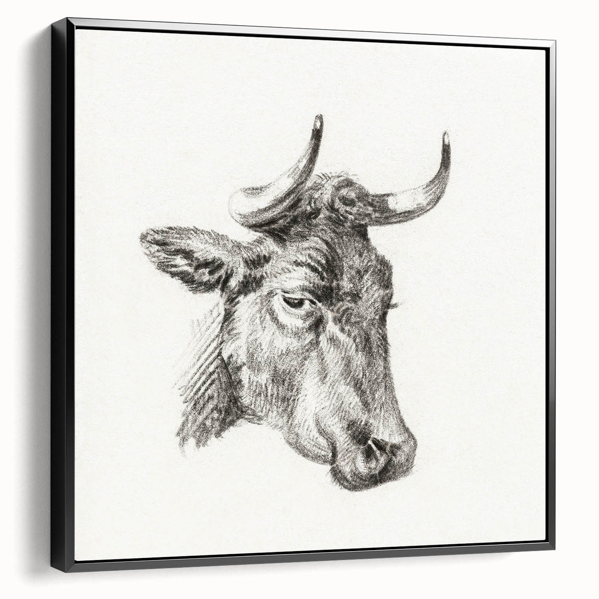 Romanticism Art Print: Head of a Cow - Timeless Sketch by Jean Bernard