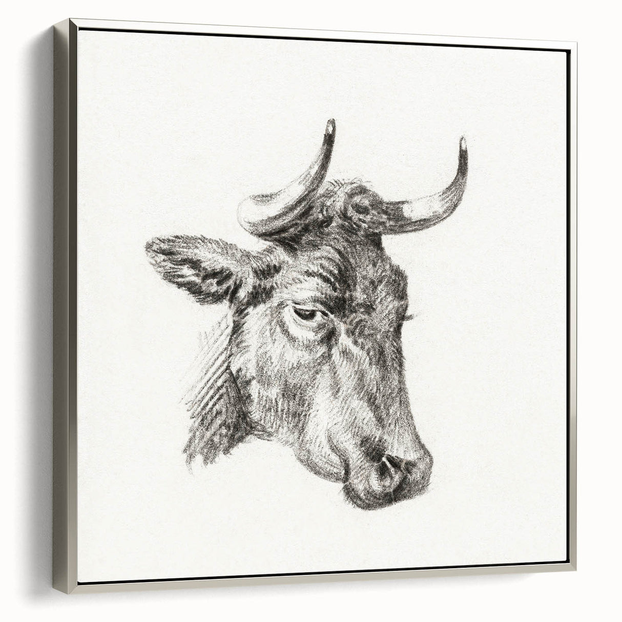 Romanticism Art Print: Head of a Cow - Timeless Sketch by Jean Bernard