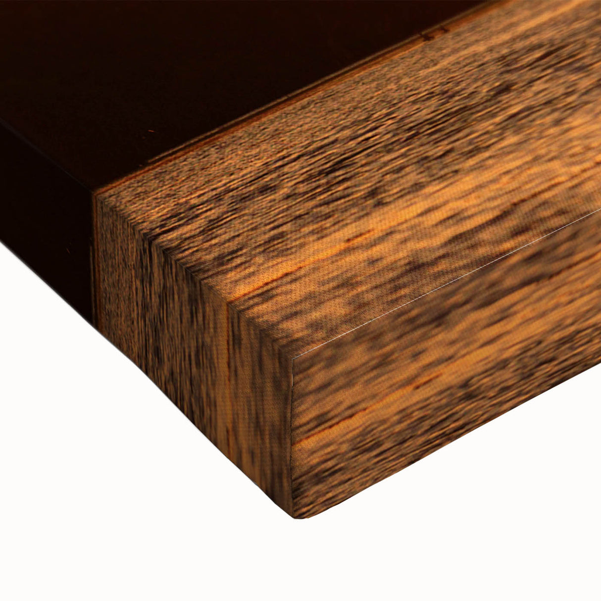 Black and white landscape painting of Yucatan scenery on large stretched canvas, suitable for bedroom wall art.