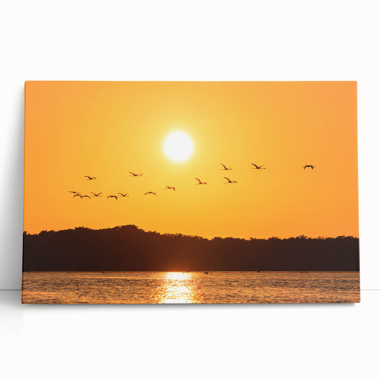 Black and white large art print on stretched canvas featuring Yucatan scenery, ideal for kitchen wall art or bedroom decor.